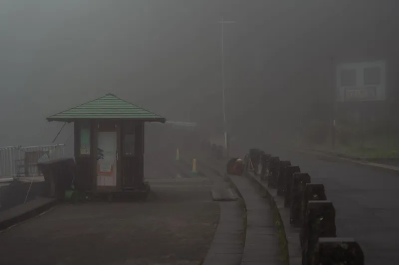 Alone on Purpose: Why the World's Most Intentional Escapees Are Landing in Shimabara