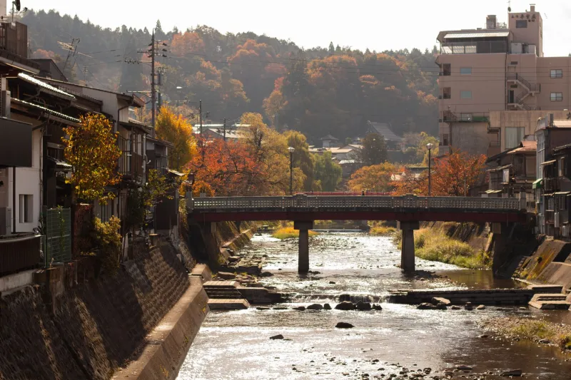 Once Is Never Enough: The Real Reason People Keep Flying Back to Shimabara